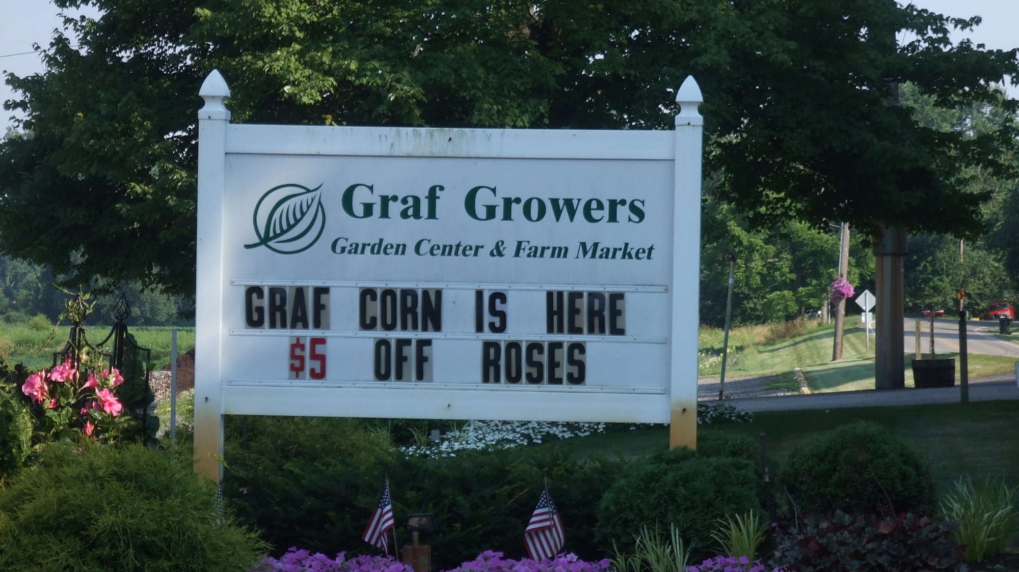Sweet Corn, Squash, and More: In Season This Fall at Graf’s - Graf Growers